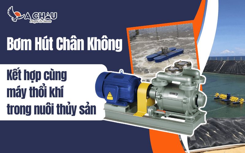  Ứng dụng của bơm hút chân không kết hợp cùng máy thổi khí trong nuôi thủy sản