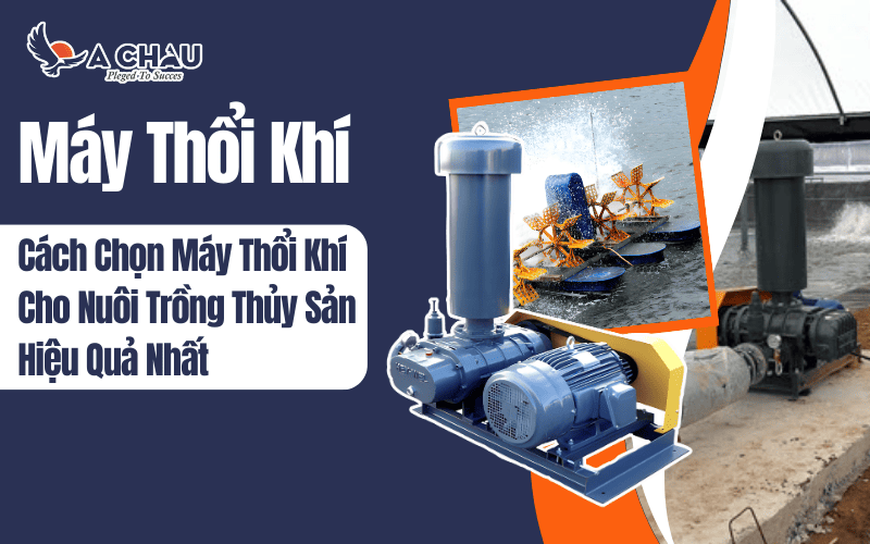  Cách chọn máy thổi khí cho nuôi trồng thủy sản hiệu quả nhất