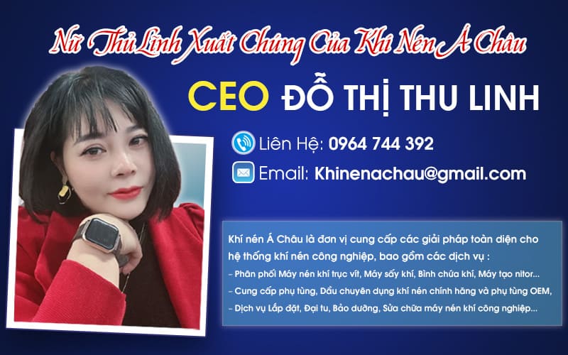  CEO Đỗ Thị Thu Linh: Nữ Thủ Lĩnh Xuất Chúng Của Khí Nén Á Châu
