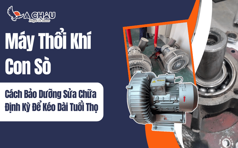  Cách bảo dưỡng sửa chữa máy thổi khí con sò định kỳ